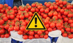 Los casos de Salmonella aumentan en Apulia: detener los tomates crudos en escuelas y hospitales