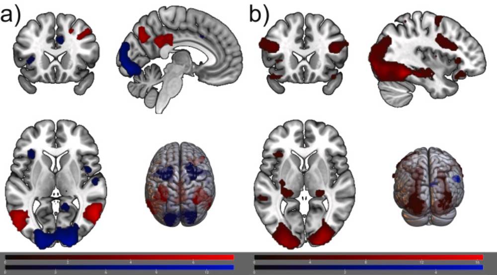 3 días sin teléfono inteligente
