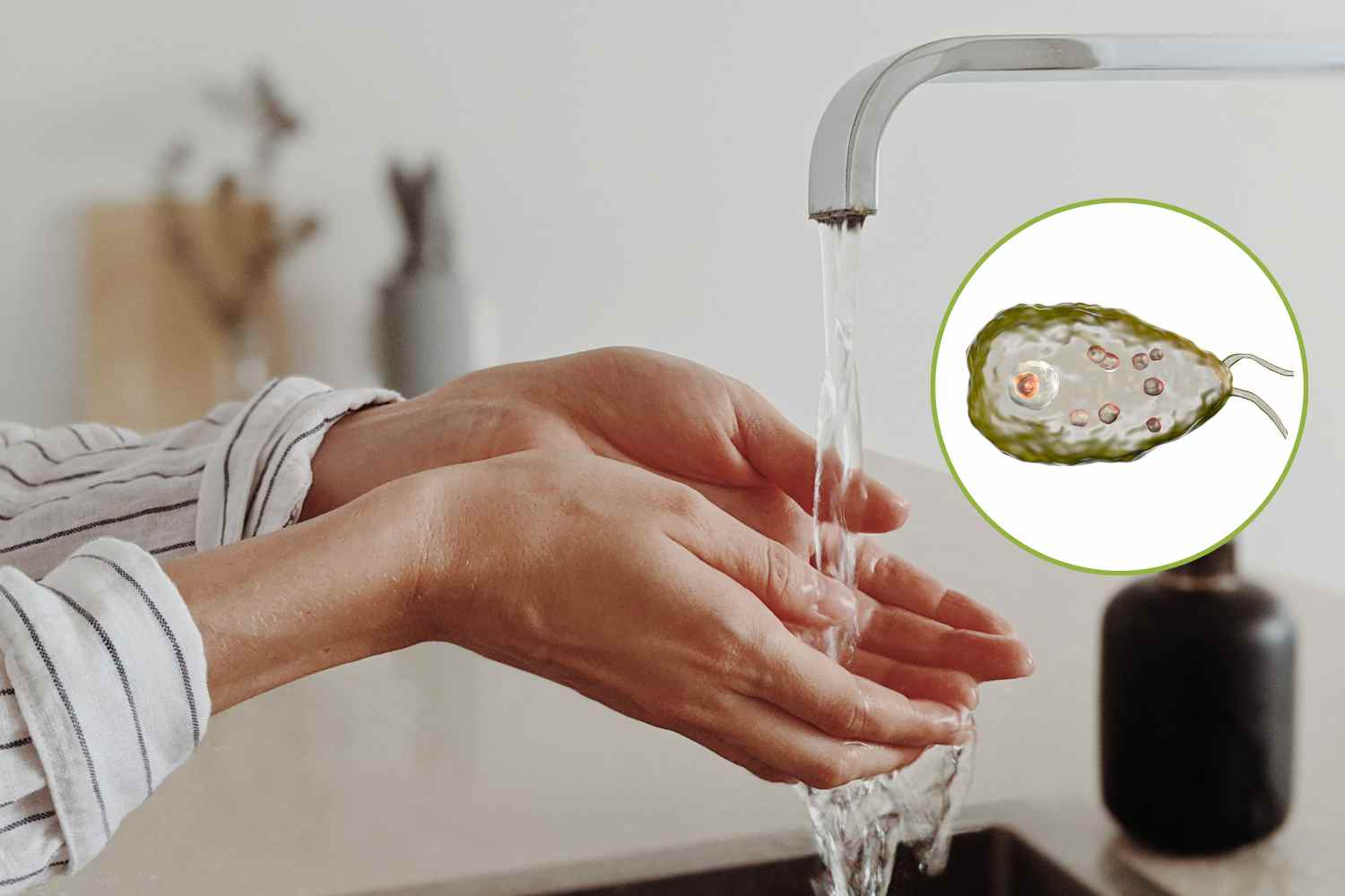 Tragedia después de un lavado nasal: qué debes hacer nunca con el agua del grifo (no tratado)