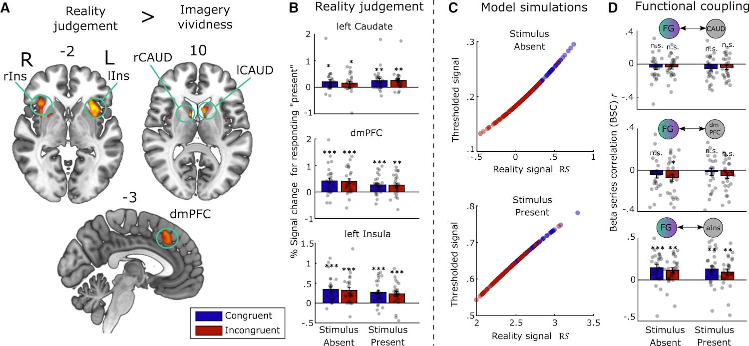Distinción Realidad Imaginación