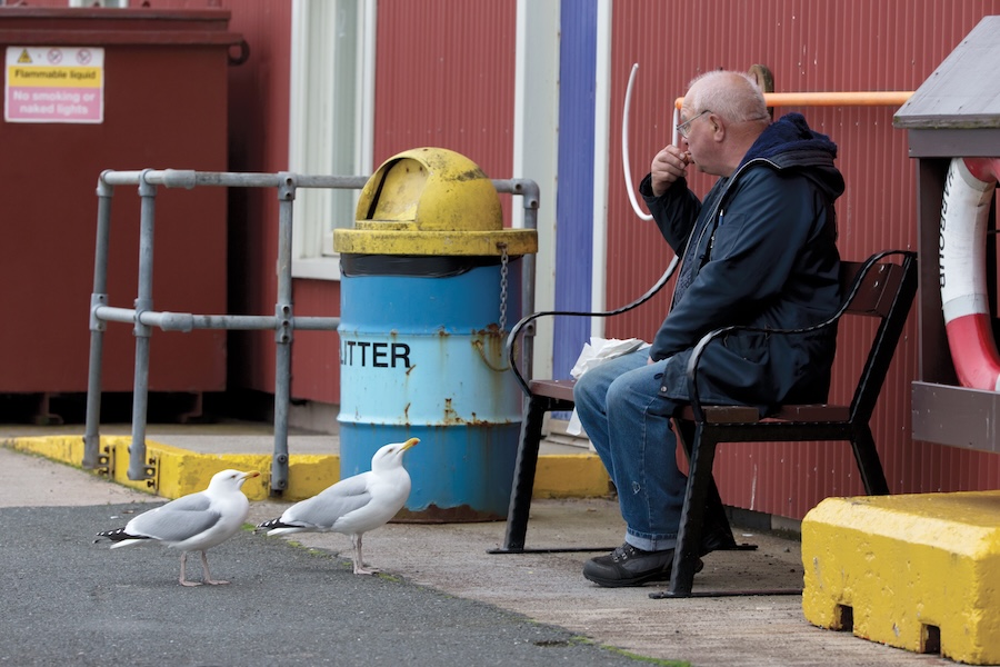 Gastro gulls face slim pickings