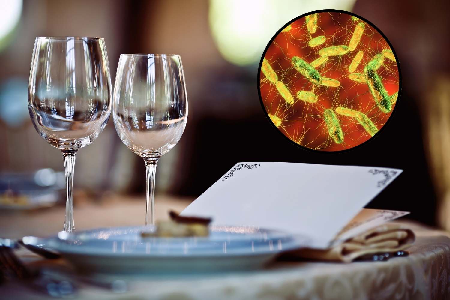 salmonella intossicazione