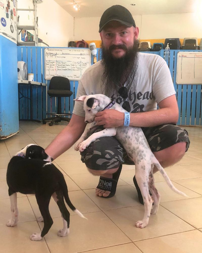 Hombre jugando con dos cachorros en los animales de Isla, el Centro de rescate de perros de Isla Mujeres