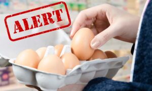 Salmonella en huevos ecológicos, se activa la retirada: marca y lotes que no deben consumirse