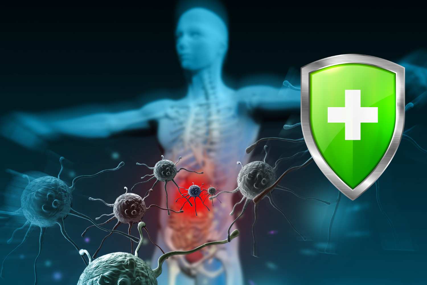 tolleranza immunitaria nobel