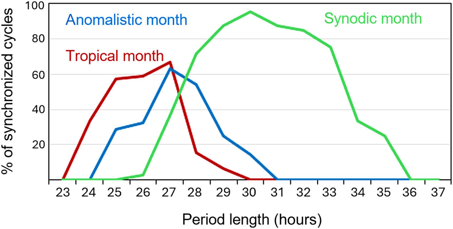 efectos de la luna ciclo menstrual