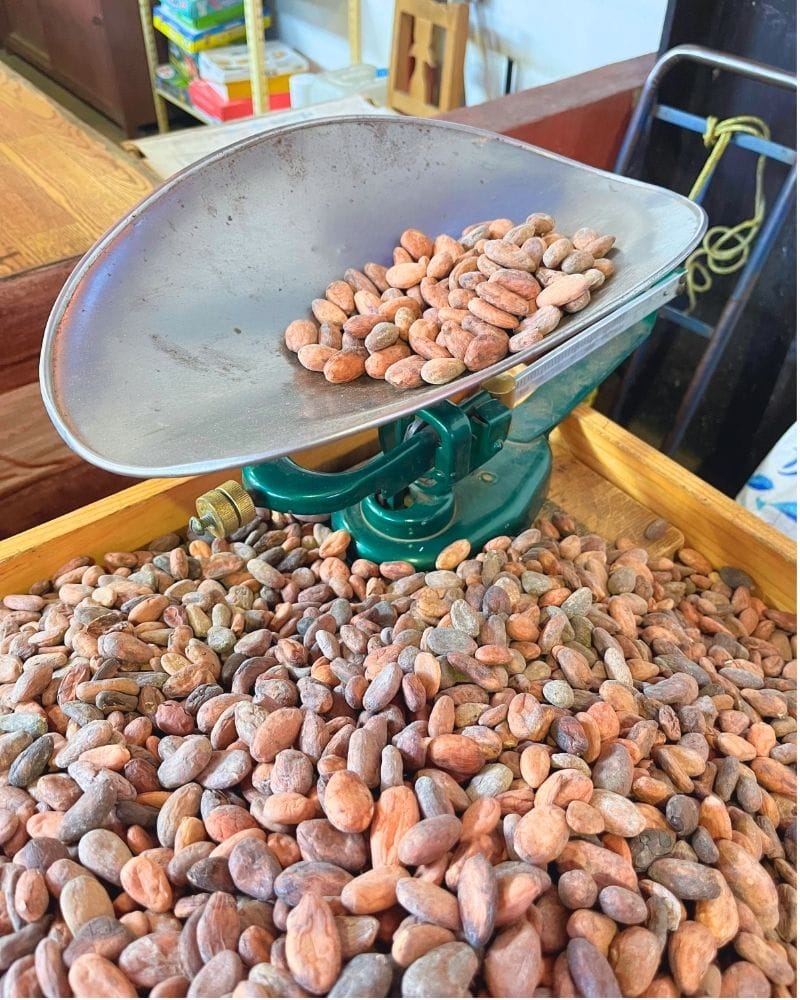 Granos de cacao a escala y para la venta en el mercado.