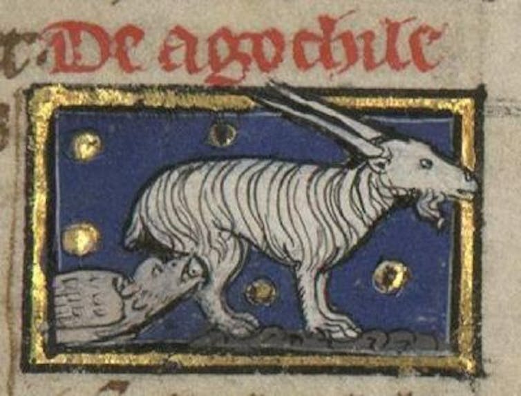 Ilustración de un pájaro bebiendo de la ubre de una cabra.