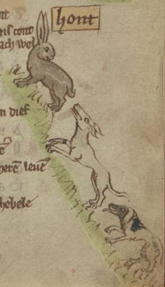 Una ilustración de una caza de liebres.