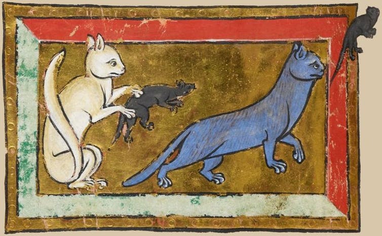 dos gatos cazando ratones en una ilustración medieval