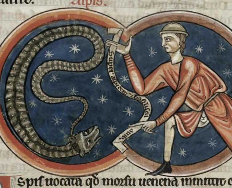 Un hombre luchando contra una serpiente.
