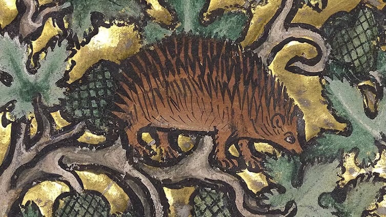 The medieval folklore of Britain’s endangered wildlife ‘omens’ – from hedgehogs to nightjars
