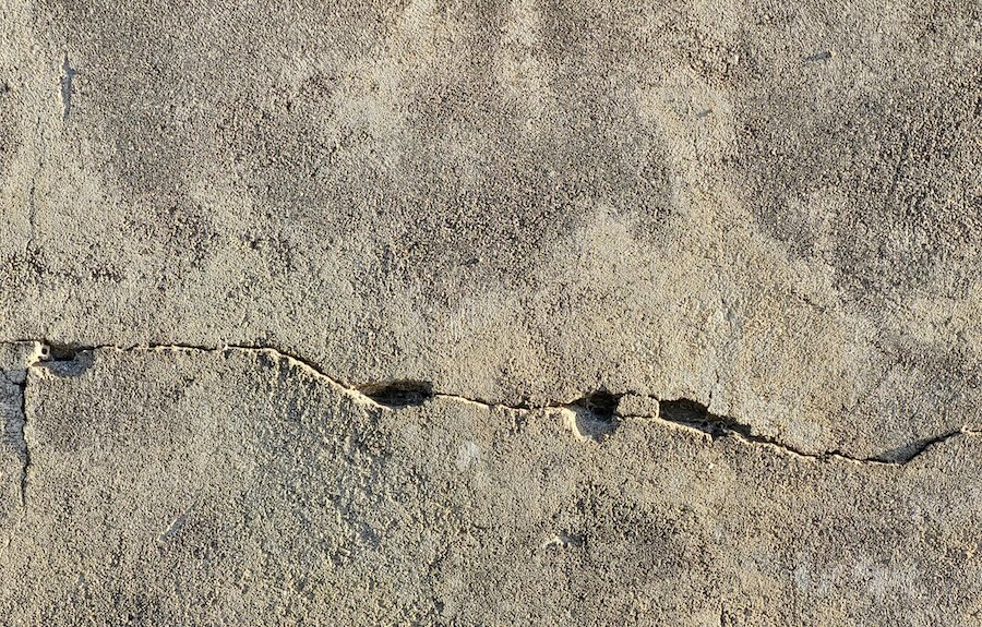 Nature at risk – report warns of evidence there