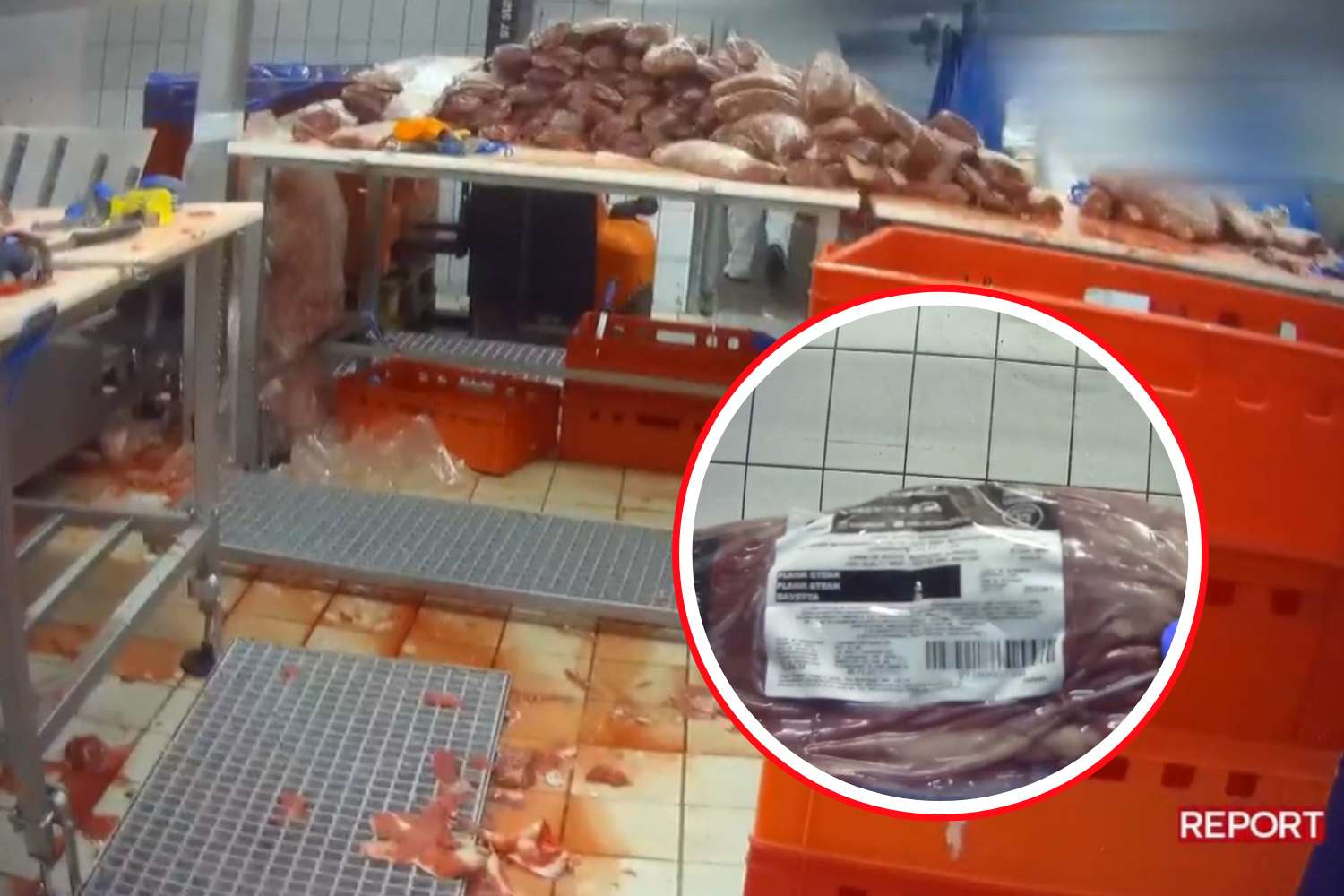 carne scaduta inchiesta report