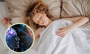 Otoño, sueño y estado de ánimo: el vínculo oculto entre la luz natural y el ritmo circadiano