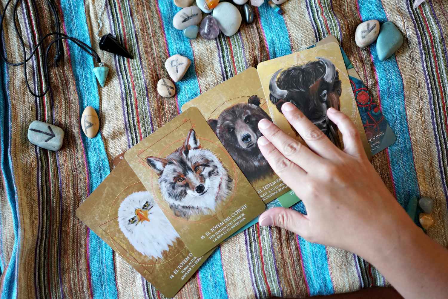 animali guida