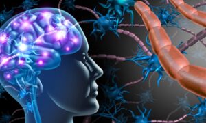 ¿Eres inconsistente? Un área de tu cerebro está menos activa, muestra un estudio