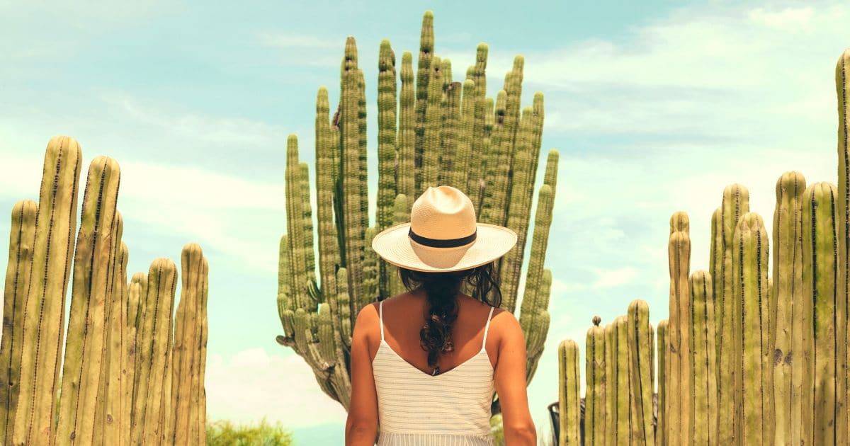 ¿Recuerdas al pequeño Elliott de ET? Así luce Henry Thomas 43 años después