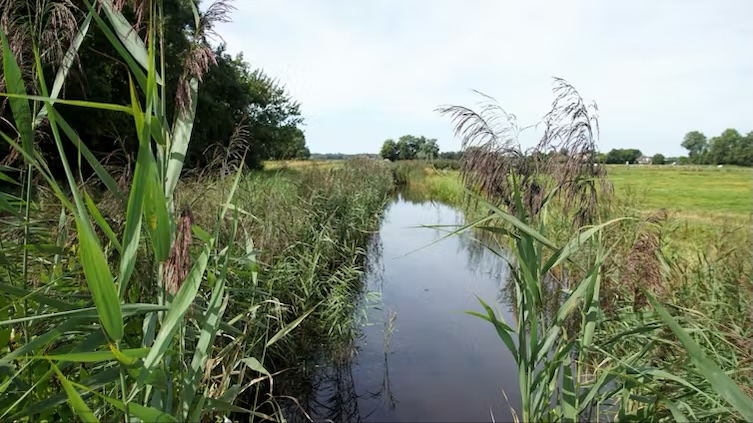 How to cut harmful emissions from ditches and canals – new research
