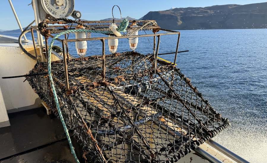 Creel fishermen and scientists team up to listen beneath the waves in collaborative west coast pilot