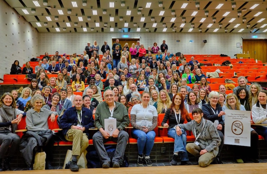 Saving Hedgehogs: How UK Schools Are Taking Action
