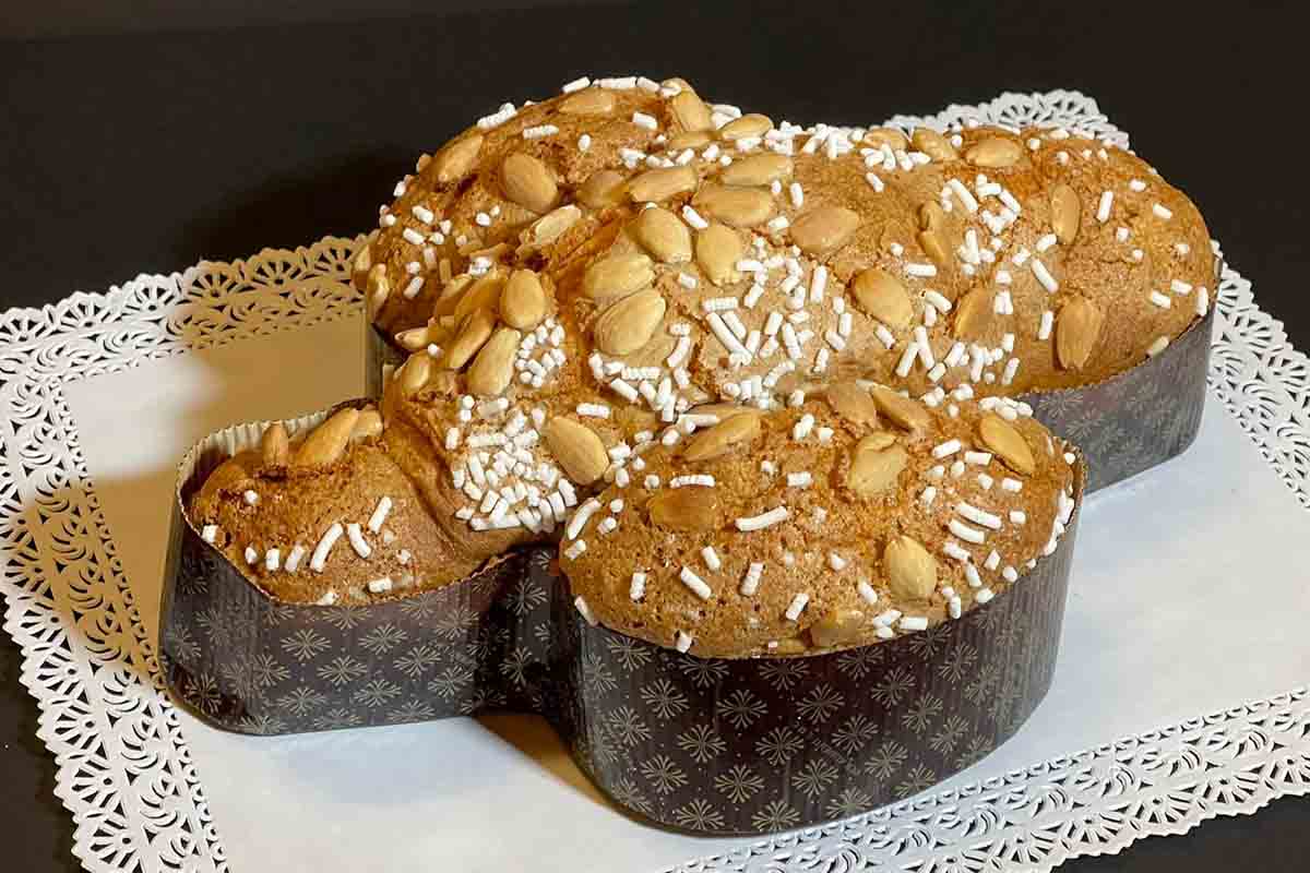 concurso paloma reina