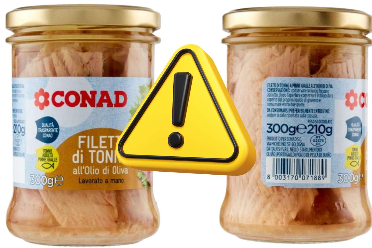 Ojo con estos filetes de atún de Conad en aceite de oliva: aquí está el lote retirado del mercado (puede contener cuerpos extraños)