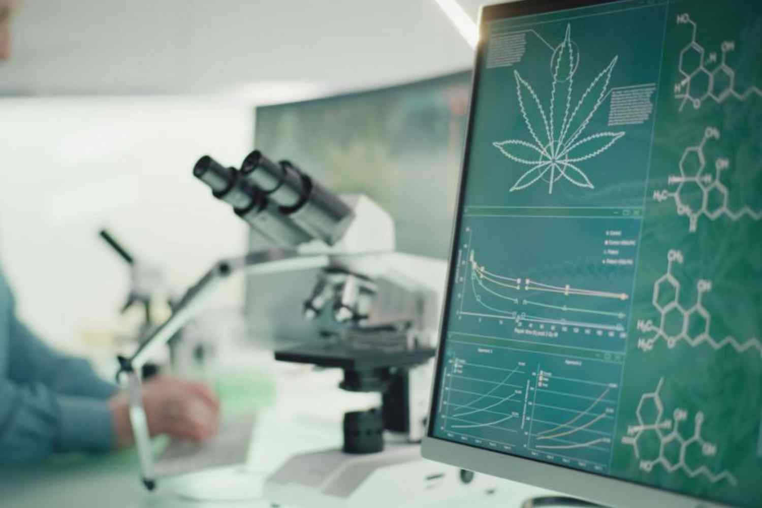 clínica de cannabis