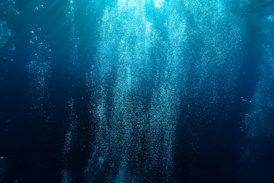 How AI could unlock deep‑sea secrets of marine life