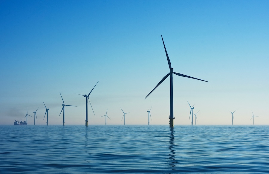 Offshore Wind Plans Raise Fresh Concerns for UK Seabird Strongholds