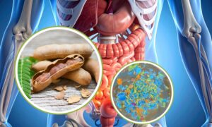 Microplásticos: las semillas de tamarindo pueden eliminar el 90% de ellos del cuerpo humano