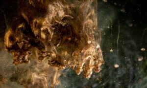 Por qué es difícil tomar decisiones climáticas a largo plazo: un filósofo…