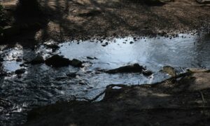 Si los ríos tuvieran derechos legales, los escándalos de aguas residuales serían mucho más difíciles…