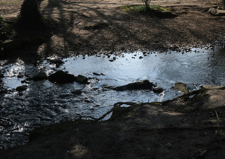 If rivers had legal rights, sewage scandals would be much harder to ignore