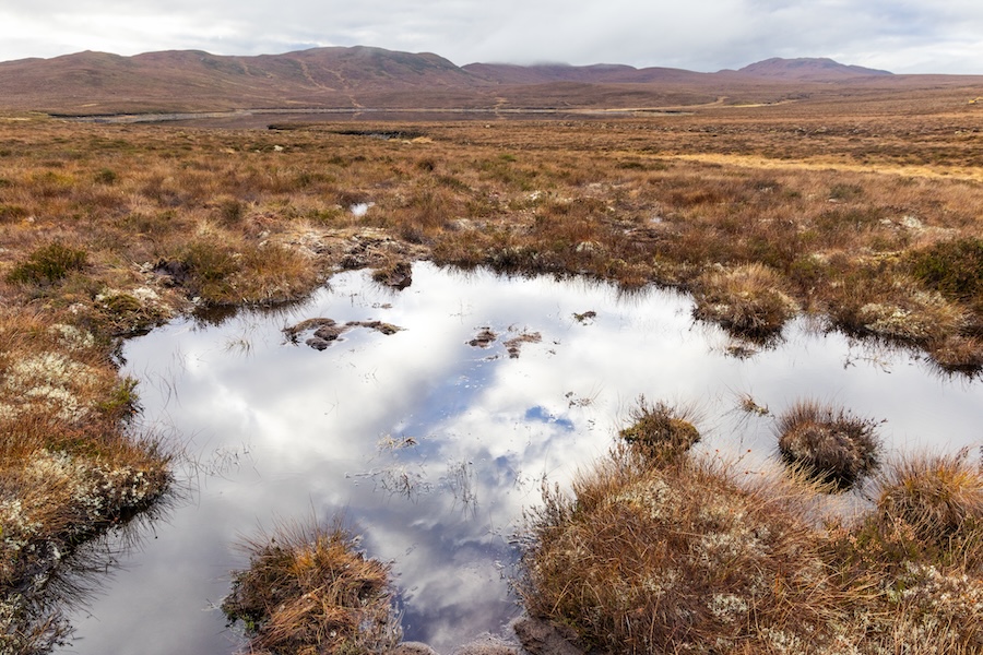 Rare habitat restored near Loch Ness in landmark Scottish project