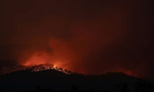 Estado europeo del clima 2025