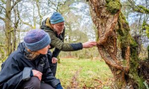La confianza nutre la naturaleza y pide al gobierno entrante que sea audaz…