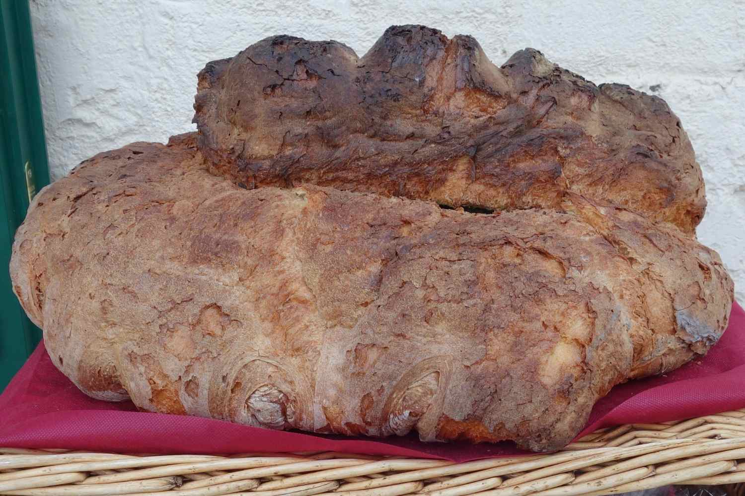 pan matera