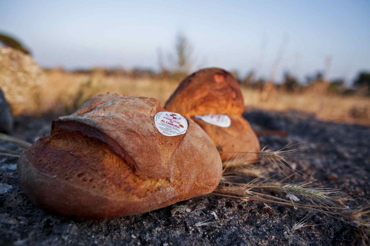 pan de altamura