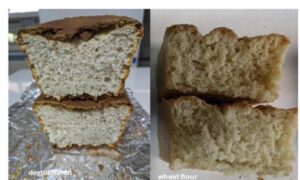 ¡Un gran avance para la enfermedad celíaca! Del Cnr nace el primer pan de trigo sin gluten (con sabores y propiedades del tradicional)