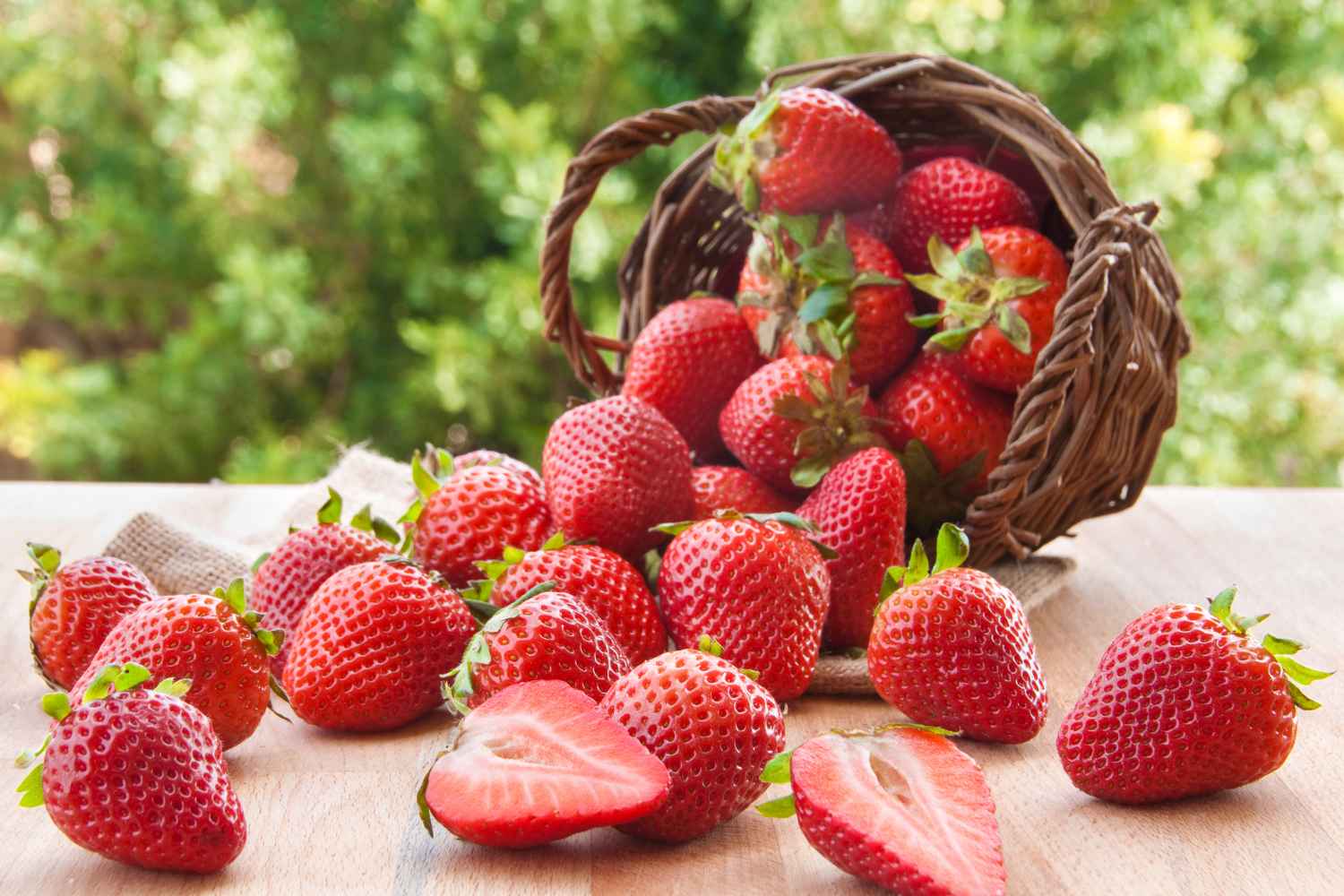 fragole