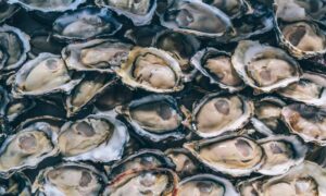 Ostras retiradas del mercado por Esselunga por norovirus: aquí está el lote que no debe consumirse