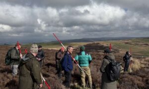 Comienza una nueva investigación para descubrir los salvajes secretos de la vasta naturaleza…