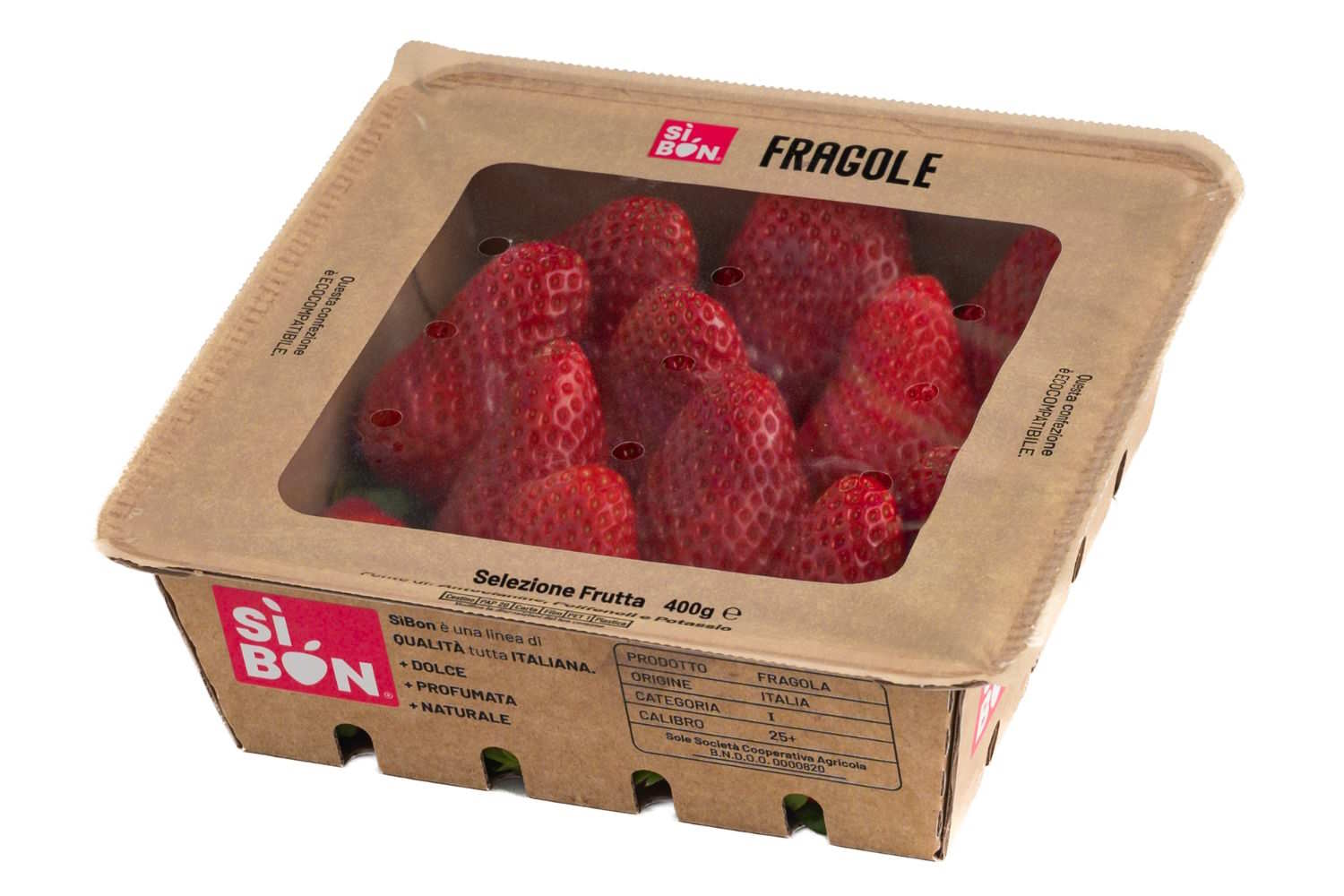 Sibon CoopLenguaje de fresas