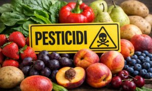 Dirty Dozen 2026, estas 2 verduras consideradas entre las más saludables son las más contaminadas por pesticidas y PFAS