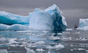 El hielo marino de la Antártida desafió el calentamiento global durante décadas, ahora…