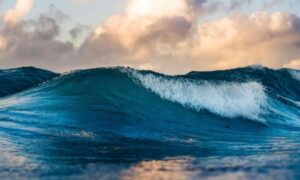 El océano está luchando contra el cambio climático y nosotros estamos tratando de ayudarlo…