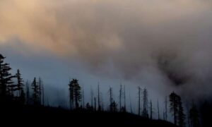 El riesgo de incendios forestales se está extendiendo ahora a climas fríos como…