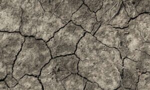Las olas de calor son ahora desastres cotidianos: los gobiernos deben hacer…