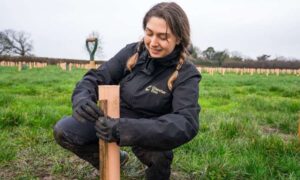 Más de 5.000 árboles nuevos suponen un gran impulso para la biodiversidad en…